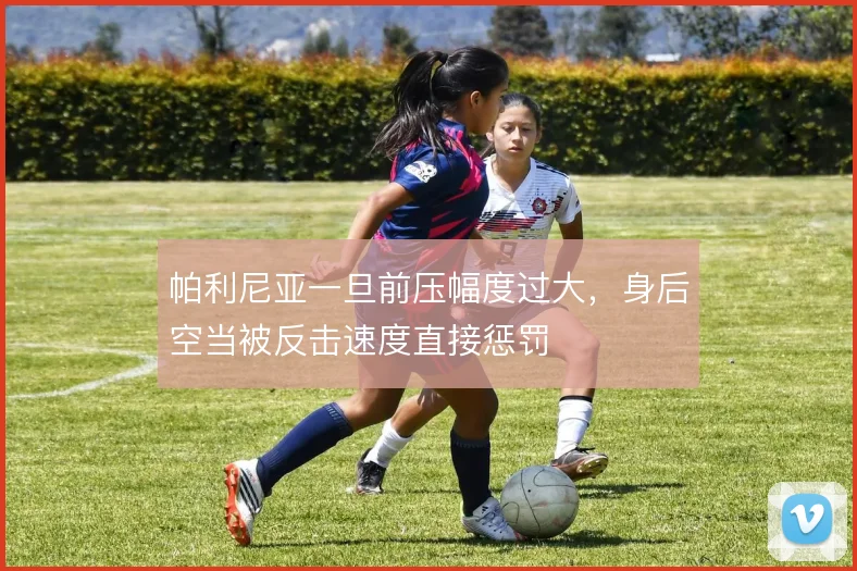 帕利尼亚一旦前压幅度过大，身后空当被反击速度直接惩罚