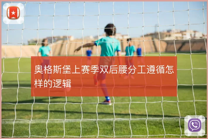 奥格斯堡上赛季双后腰分工遵循怎样的逻辑