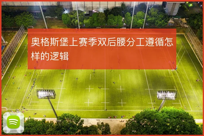奥格斯堡上赛季双后腰分工遵循怎样的逻辑