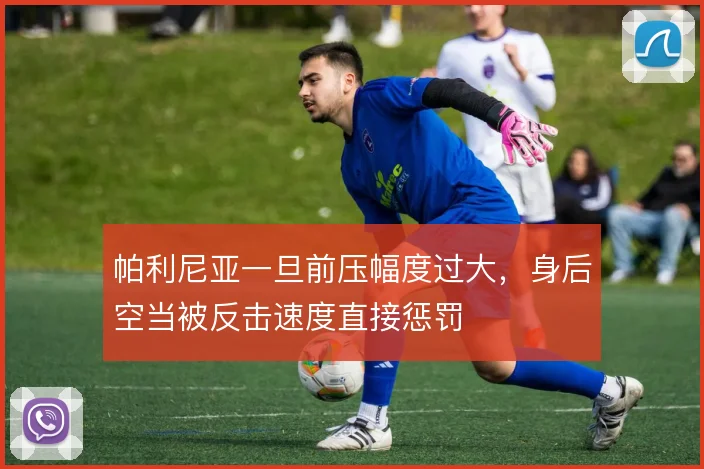 帕利尼亚一旦前压幅度过大，身后空当被反击速度直接惩罚