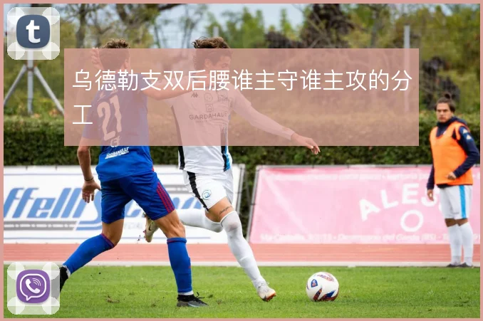 乌德勒支双后腰谁主守谁主攻的分工